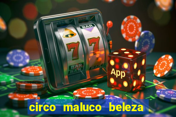 circo maluco beleza recife circo maluco